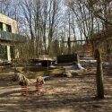 Auch im Herbst und Winter wunderschön: das Aussengelände