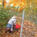 Kiga Herbst