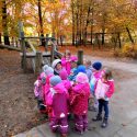 Kiga Herbst