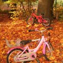 Kiga Herbst