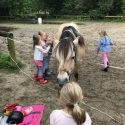 Reiten