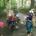 Wald mit Marlies