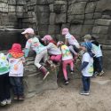 Zoo