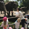 Zoo