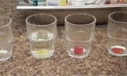 Gummibärchen Experiment 1 - 2024