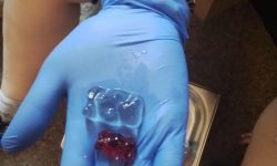 Gummibärchen Experiment 3 - 2025